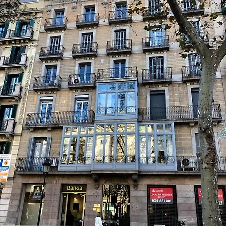 Apartment Mr. Serrano